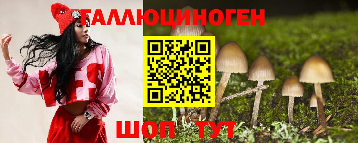 Галлюциногенные грибы GOLDEN TEACHER  Галлюциногенные грибы GOLDEN TEACHER  Гурьевск  Вход с VPN 